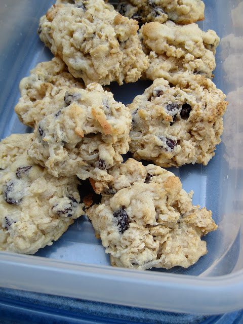 Coconut Oatmeal Raisin Cookies