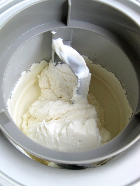 Vanilla Frozen Yogurt