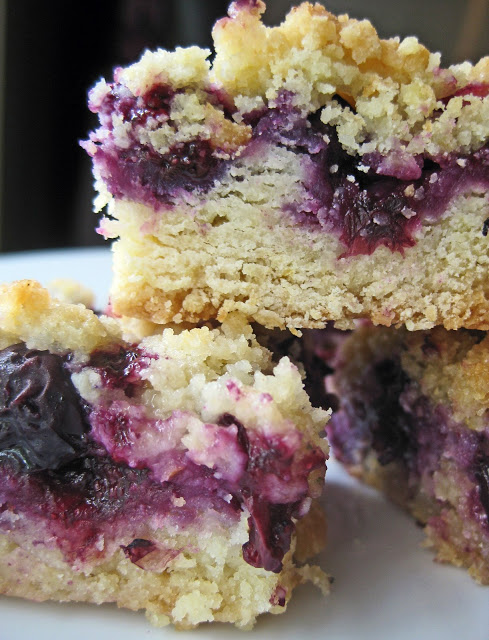 Blueberry Crumb Bars